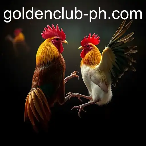The Digital Transformation of Sabong: Spotlight on Golden Club